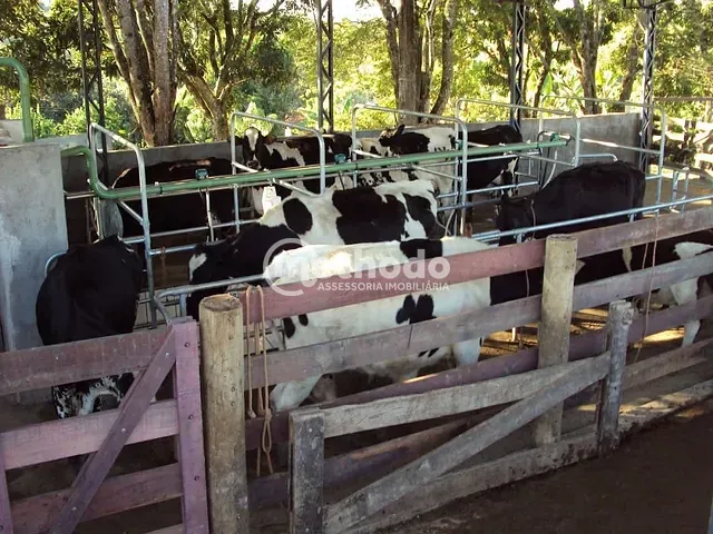 Sítio com 280000m² 6 quartos e 3 banheiros, à venda, no bairro São Benedito em Alpinópolis