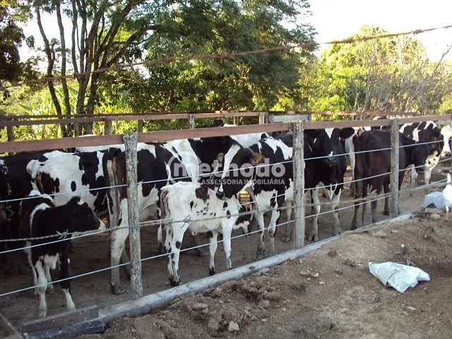 Sítio com 280000m² 6 quartos e 3 banheiros, à venda, no bairro São Benedito em Alpinópolis