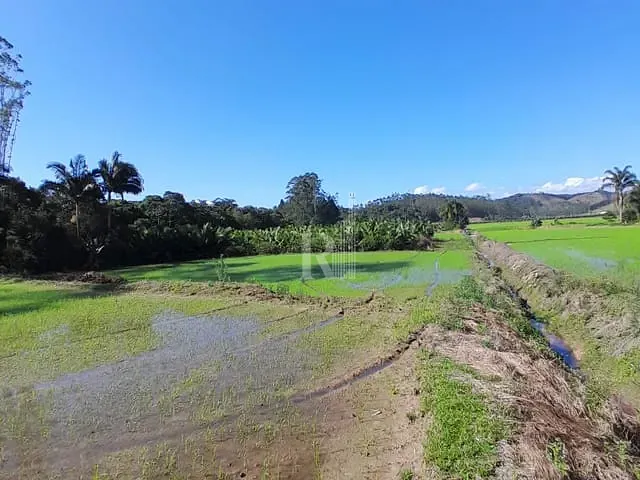Terreno com 140000m², à venda, no bairro oliveira em Tijucas