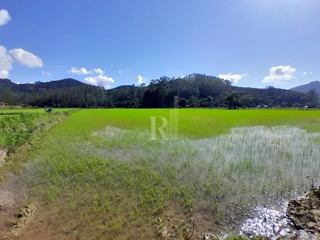 Terreno com 140000m², à venda, no bairro oliveira em Tijucas