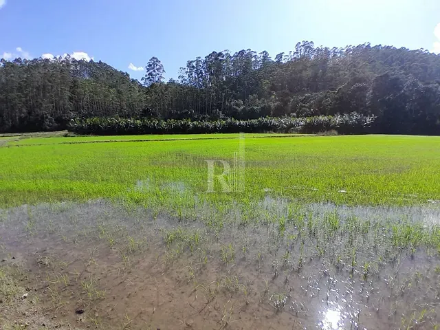 Terreno com 140000m², à venda, no bairro oliveira em Tijucas