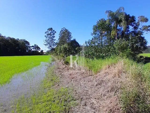 Terreno com 140000m², à venda, no bairro oliveira em Tijucas
