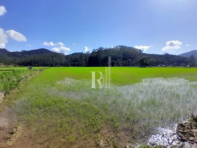 Terreno com 140000m², à venda, no bairro oliveira em Tijucas