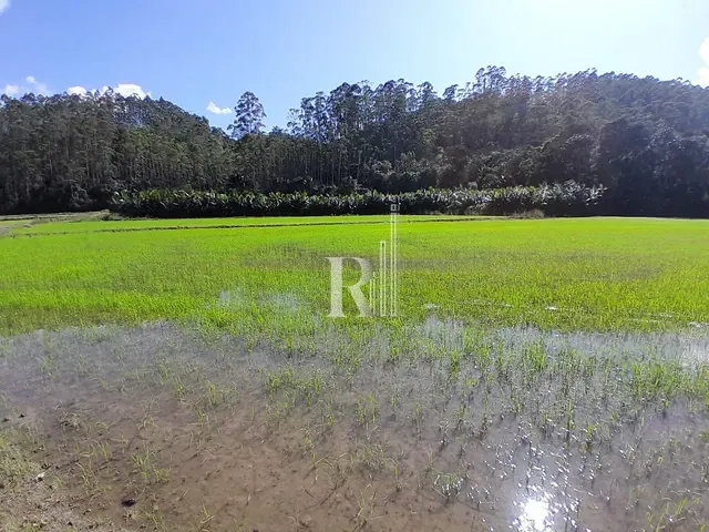 Terreno com 140000m², à venda, no bairro oliveira em Tijucas