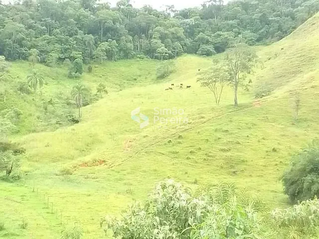 Terreno com 150348m², à venda, no bairro Rural em Ewbank da Câmara