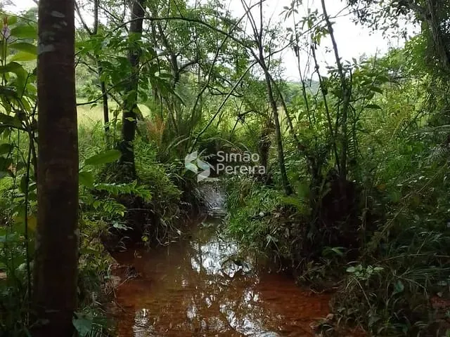 Terreno com 150348m², à venda, no bairro Rural em Ewbank da Câmara