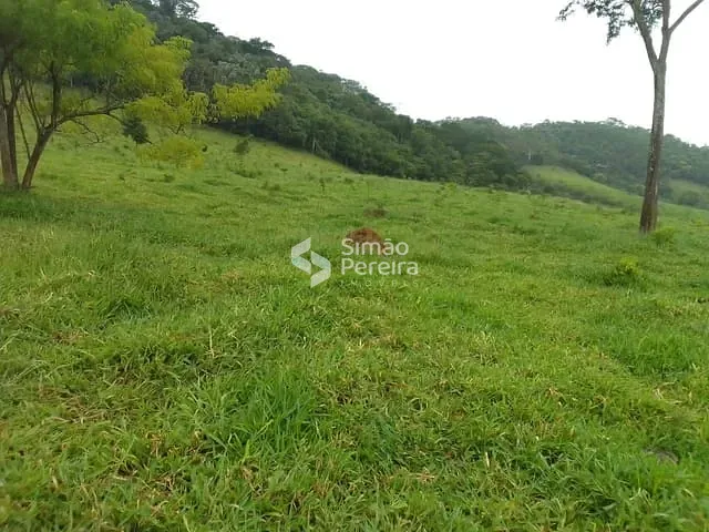 Terreno com 150348m², à venda, no bairro Rural em Ewbank da Câmara