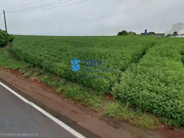 Sítio com 30000m², à venda, no bairro Warta em Londrina