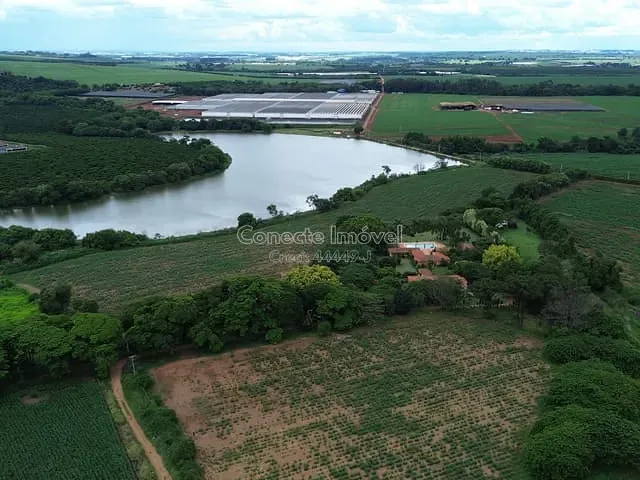 Sítio com 100000m² 7 quartos e 6 banheiros, à venda, no bairro Filomena em Mogi Mirim