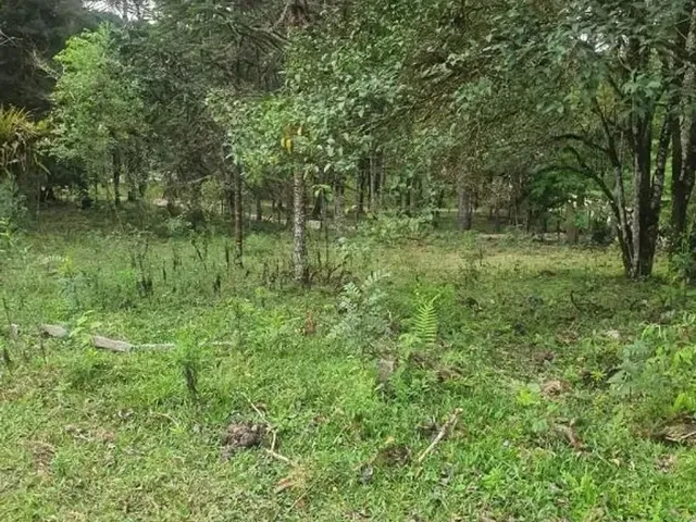 Sítio à venda, no bairro Roseira em Colombo