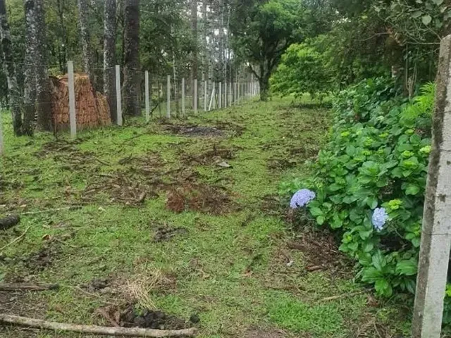 Sítio à venda, no bairro Roseira em Colombo