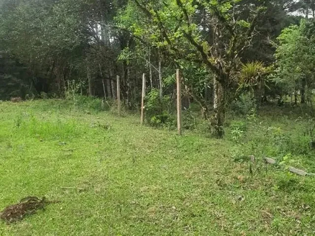 Sítio à venda, no bairro Roseira em Colombo