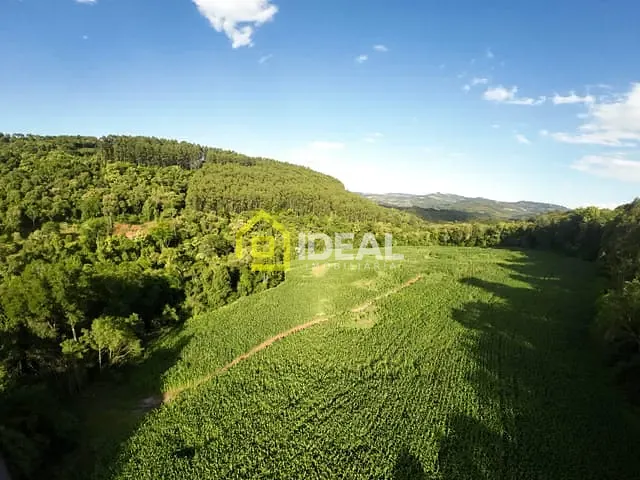 Sítio com 59382m², à venda, no bairro Linha Sertão em Concórdia