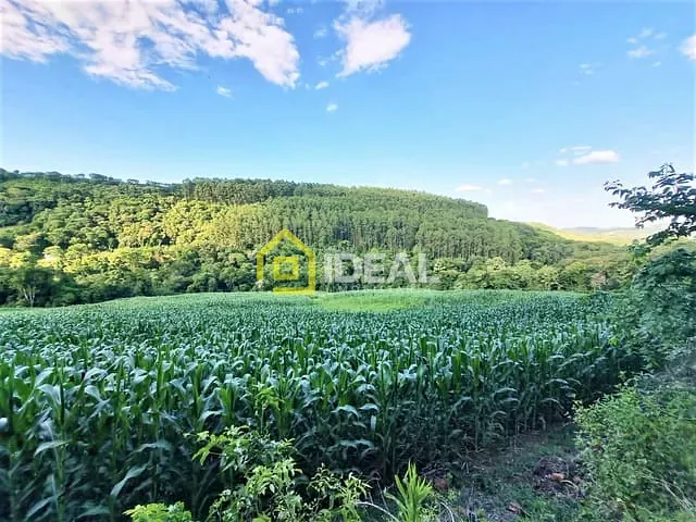 Sítio com 59382m², à venda, no bairro Linha Sertão em Concórdia