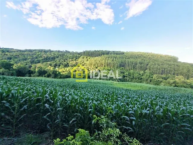 Sítio com 59382m², à venda, no bairro Linha Sertão em Concórdia