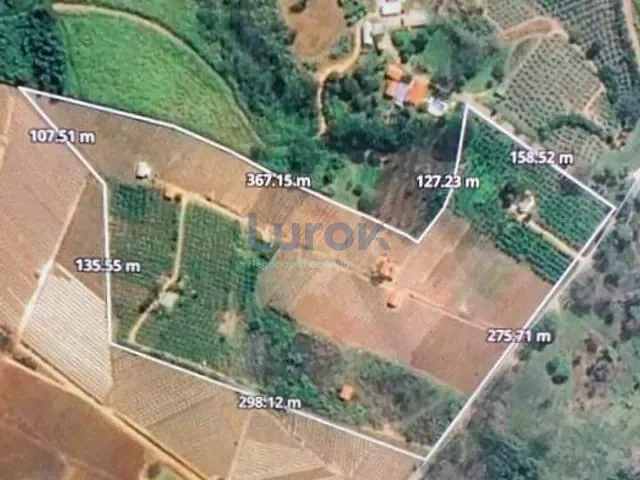 Sítio com 81000m² 3 quartos e 1 banheiro, à venda, no bairro Macuco em Valinhos