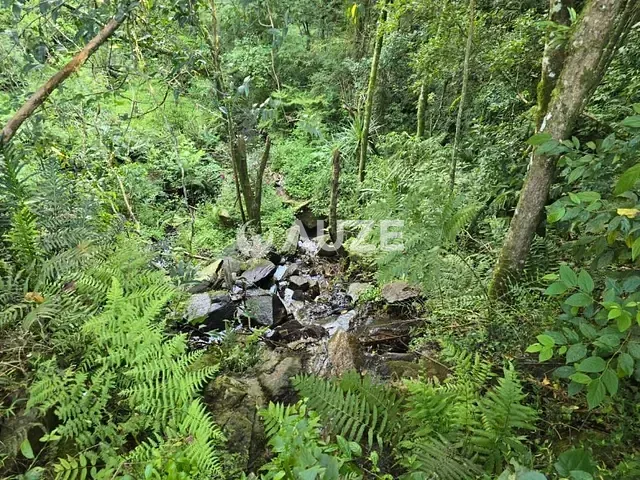 Sítio à venda, no bairro Colonia Santa Gabriela em Almirante Tamandaré