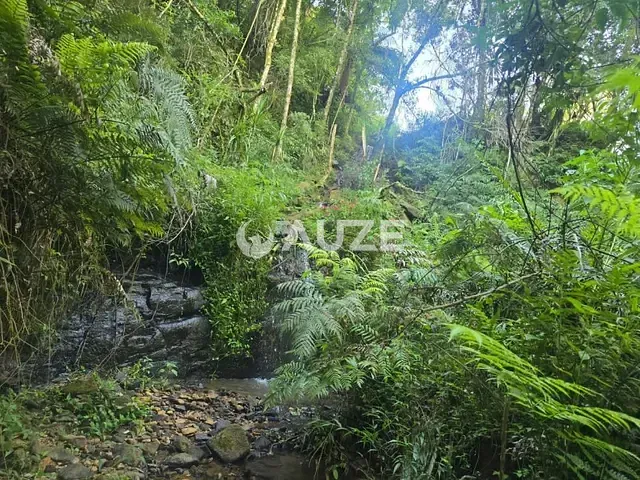 Sítio à venda, no bairro Colonia Santa Gabriela em Almirante Tamandaré