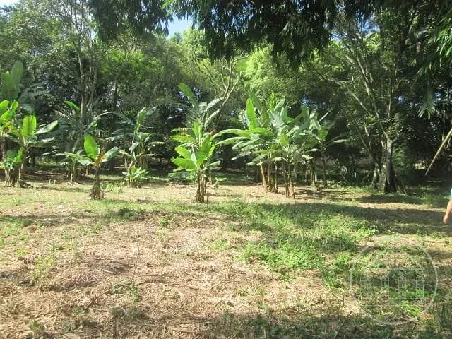 Sítio com 56514m² 3 quartos e 2 banheiros, à venda, no bairro Jardim Santa Tereza em São Paulo