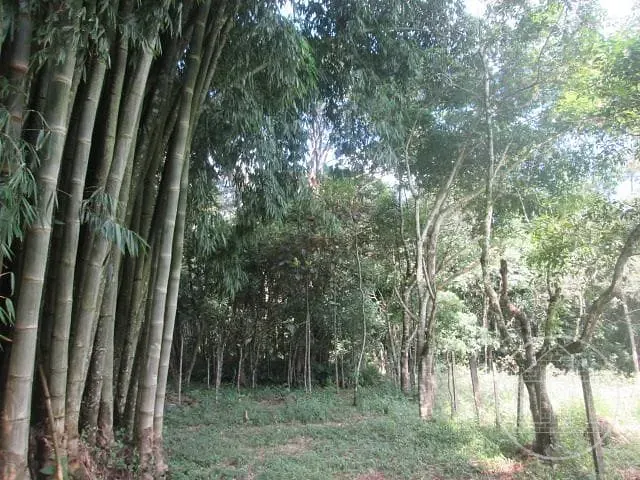 Sítio com 56514m² 3 quartos e 2 banheiros, à venda, no bairro Jardim Santa Tereza em São Paulo