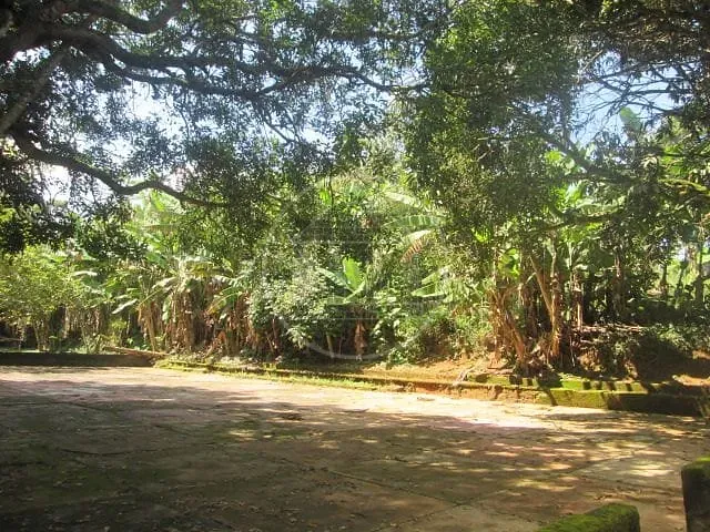 Fazenda, 6 hectares - Foto 43