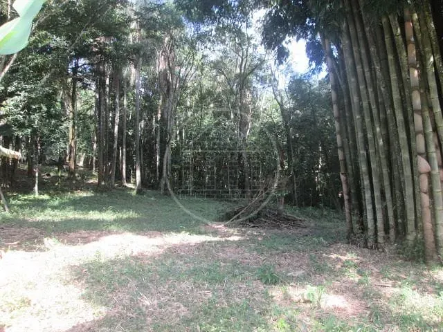Fazenda, 6 hectares - Foto 12