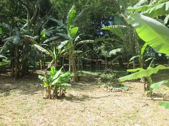Fazenda, 6 hectares - Foto 14