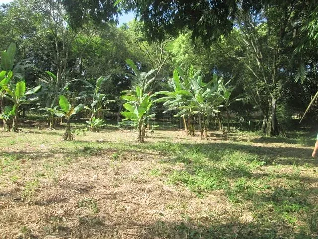 Sítio com 56514m² 3 quartos e 2 banheiros, à venda, no bairro Jardim Santa Tereza em São Paulo