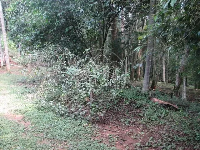 Fazenda, 6 hectares - Foto 19