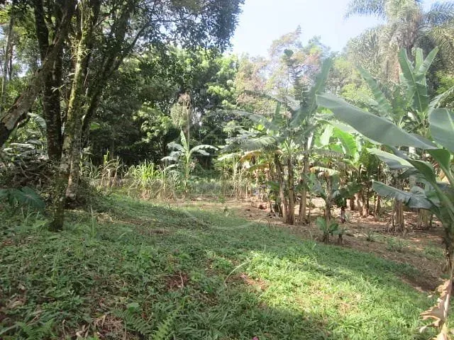 Fazenda, 6 hectares - Foto 8