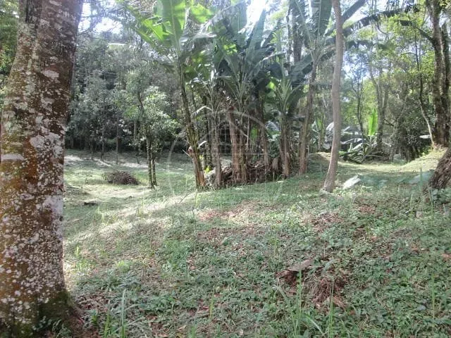 Fazenda, 6 hectares - Foto 7