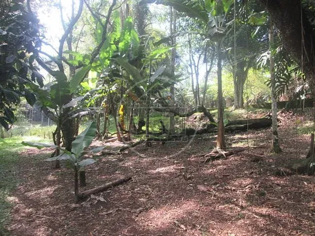 Fazenda, 6 hectares - Foto 16