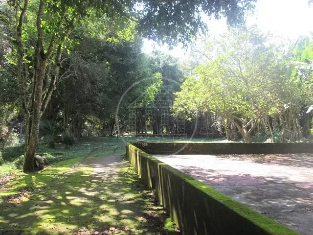 Fazenda, 6 hectares - Foto 22