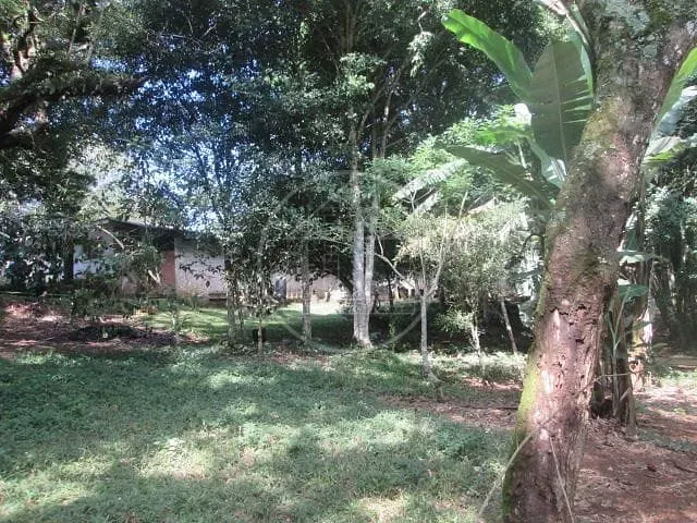 Fazenda, 6 hectares - Foto 15