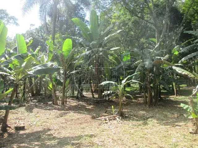 Fazenda, 6 hectares - Foto 13