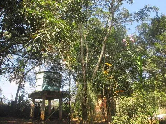 Fazenda, 6 hectares - Foto 24