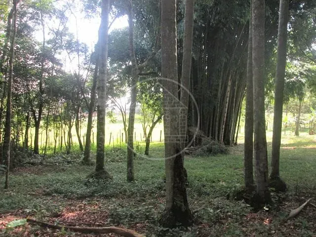 Fazenda, 6 hectares - Foto 27