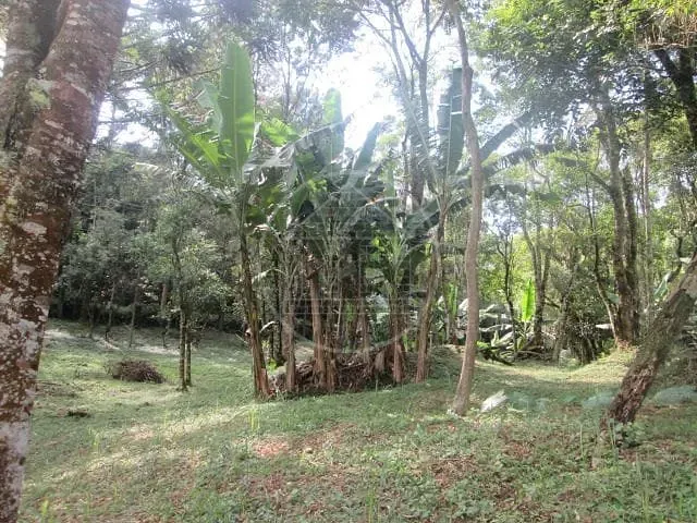 Fazenda, 6 hectares - Foto 6