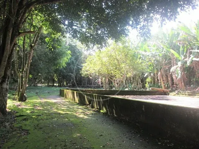 Fazenda, 6 hectares - Foto 21