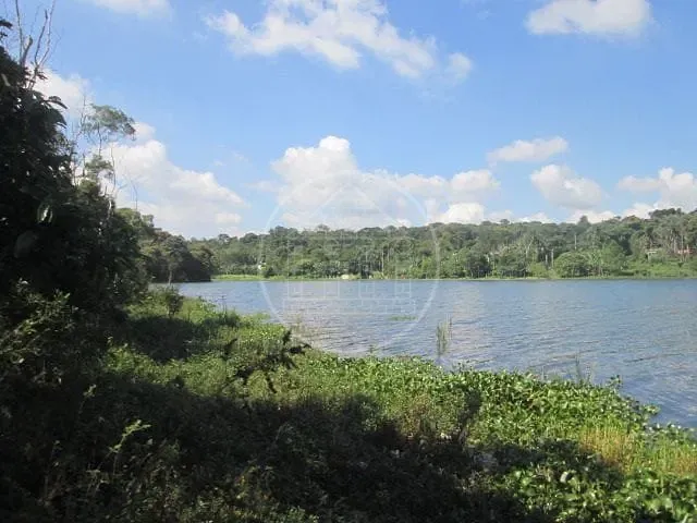 Fazenda, 6 hectares - Foto 31