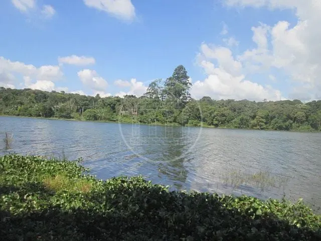 Fazenda, 6 hectares - Foto 30