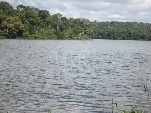 Fazenda, 6 hectares - Foto 35
