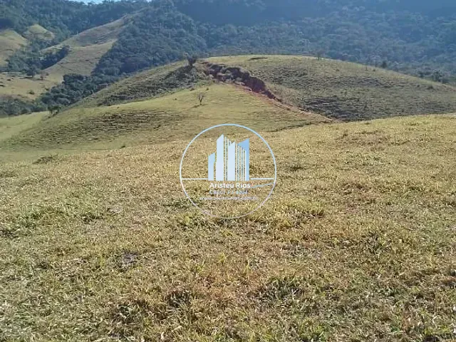 Sítio com 484000m² 3 quartos e 1 banheiro, à venda, no bairro Taioba em Congonhal