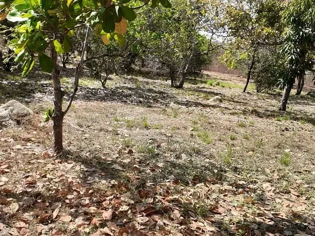 Sítio 2 quartos e 4 banheiros, à venda, no bairro Zona Rural em Teresina