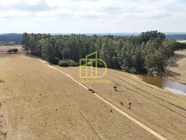 Sítio com 245630m² 4 quartos e 1 banheiro, à venda, no bairro Área Rural em Itapetininga