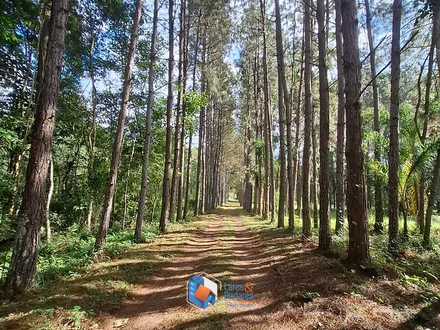 Sítio com 373400m², à venda, no bairro Jaguari em Santa Isabel