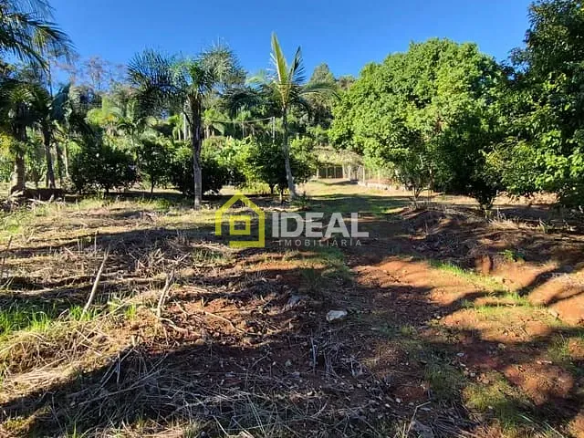 Terreno com 7373m², à venda, no bairro Tamanduá em Concórdia