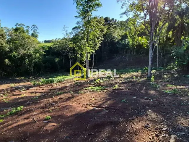 Terreno com 7373m², à venda, no bairro Tamanduá em Concórdia