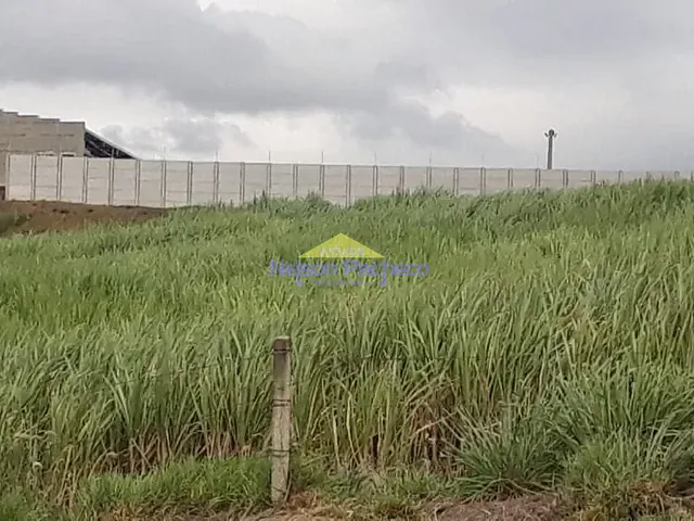 Sítio com 9115m², à venda, no bairro Bela Vista em Capivari