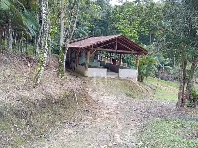 Sítio com 2000m² 1 quarto e 1 banheiro, à venda, no bairro Terra Nova em Tijucas